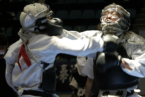 矢野杯争奪日本拳法第21回東日本学生個人選手権大会 
IMG_9695.JPG