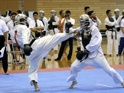日本拳法全国選抜社会人選手権大会 
_MG_3319.JPG