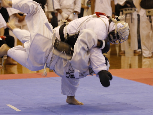 日本拳法全国選抜社会人選手権大会 
_MG_7935.JPG