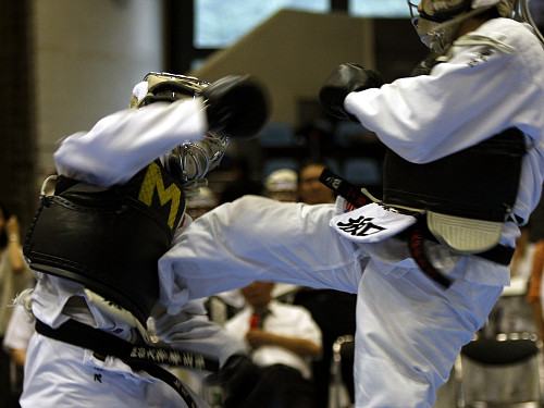 矢野杯争奪日本拳法第22回東日本学生個人選手権大会 
_MG_5404.jpg