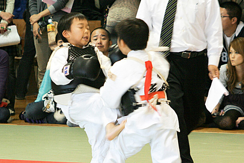 第2回日本拳法関東少年選手権大会 防具試合、小学1年生男子の部
bougu_s1d_2.JPG
