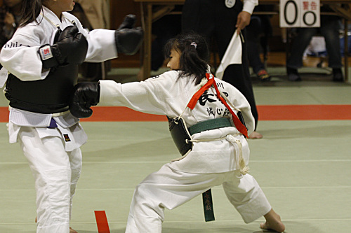 第9回日本拳法神奈川県選手権大会 小学3年生女子の部　赤：長澤（誠心館）vs白：小川（池上道場）
_MG_6402.JPG