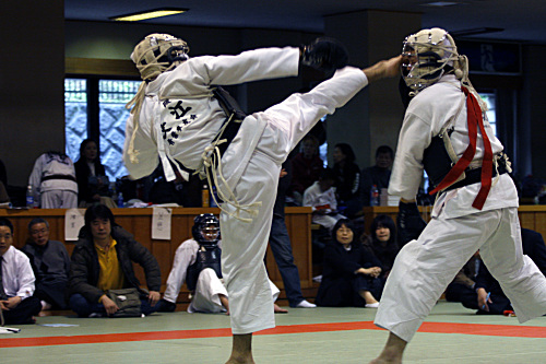 第9回日本拳法神奈川県選手権大会 一般男子　赤：石切山（黒綾館）vs白：長江（青葉拳友会）
_MG_7043.JPG