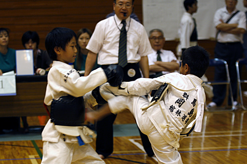 第11回日本拳法埼玉選手権大会・日本拳法埼玉県少年選手権大会 
_MG_2253.JPG