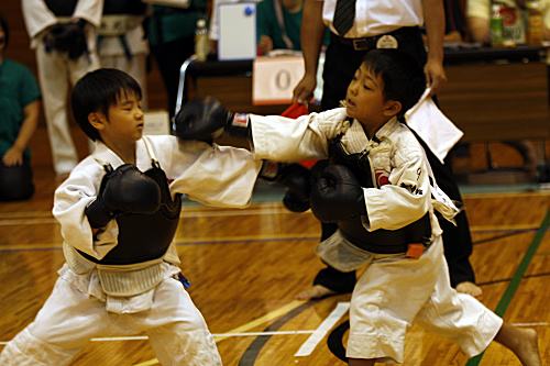 第11回日本拳法埼玉選手権大会・日本拳法埼玉県少年選手権大会 
_MG_2533.JPG