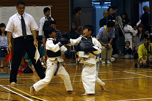 第11回日本拳法埼玉選手権大会・日本拳法埼玉県少年選手権大会 
_MG_2884.JPG