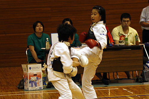 第11回日本拳法埼玉選手権大会・日本拳法埼玉県少年選手権大会 
_MG_3222.JPG