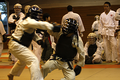 第11回日本拳法埼玉選手権大会・日本拳法埼玉県少年選手権大会 
_MG_3459.JPG