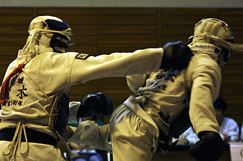 第11回日本拳法埼玉選手権大会・日本拳法埼玉県少年選手権大会 
_MG_4741.JPG
