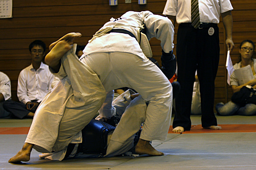 第11回日本拳法埼玉選手権大会・日本拳法埼玉県少年選手権大会 
_MG_6416.JPG