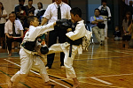 第11回日本拳法埼玉選手権大会・日本拳法埼玉県少年選手権大会

