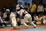 第11回日本拳法埼玉選手権大会・日本拳法埼玉県少年選手権大会
