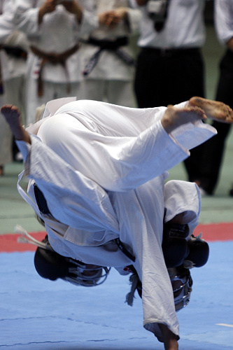 日本拳法第23回全国大学選抜選手権大会 
_MG_4852.JPG