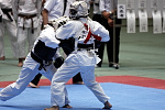 日本拳法第23回全国大学選抜選手権大会
