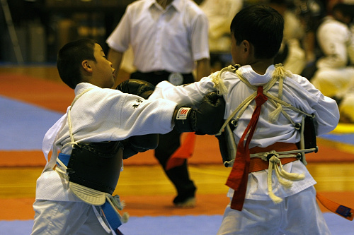 日本拳法全国選抜社会人選手権大会 東日本選抜選手権・小学2年生の部。
_MG_9434.JPG