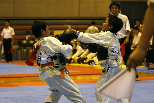 日本拳法全国選抜社会人選手権大会 東日本選抜選手権・小学2年生の部。
_MG_9714.JPG