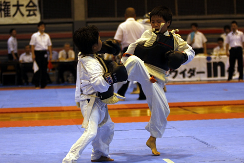 日本拳法全国選抜社会人選手権大会 東日本選抜選手権・小学2年生の部。
_MG_9723.JPG