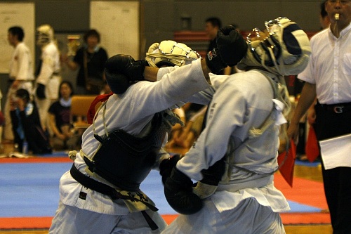 日本拳法全国選抜社会人選手権大会 
_MG_9953.JPG