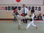 第28回日本拳法群馬県選手権大会
