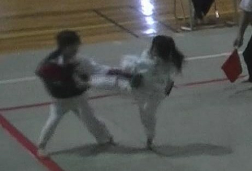 第27回日本拳法群馬県少年選手権大会 写真提供：日本拳法群馬県連盟
00049_Capture_1.JPG