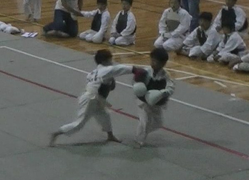第27回日本拳法群馬県少年選手権大会 写真提供：日本拳法群馬県連盟
00049_Capture_2.JPG
