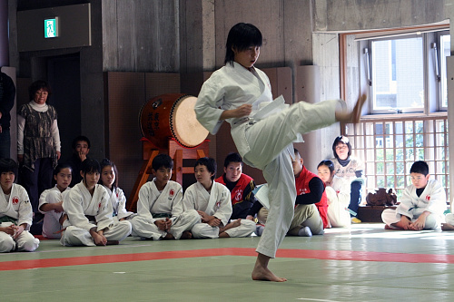 第3回日本拳法関東少年選手権大会 形試合
16.JPG