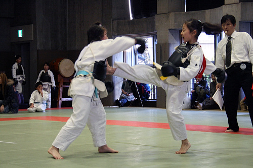 第3回日本拳法関東少年選手権大会 防具試合
43.JPG