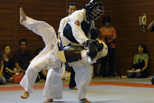 第12回日本拳法埼玉選手権大会・日本拳法埼玉県少年選手権大会 高校の部
_MG_0881.JPG