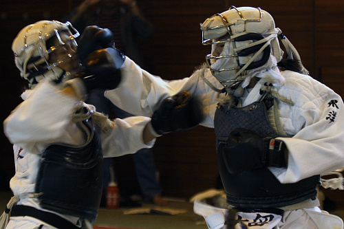 第12回日本拳法埼玉選手権大会・日本拳法埼玉県少年選手権大会 一般女子の部
_MG_1137.JPG