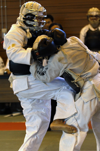 第12回日本拳法埼玉選手権大会・日本拳法埼玉県少年選手権大会 有級の部
_MG_2551.JPG