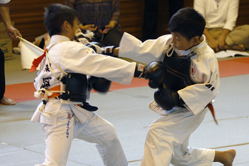 第12回日本拳法埼玉選手権大会・日本拳法埼玉県少年選手権大会 小学3年男子の部
_MG_9652.JPG