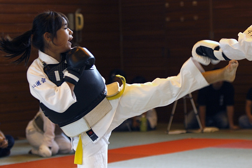 第12回日本拳法埼玉選手権大会・日本拳法埼玉県少年選手権大会 小学5・6年女子の部
_MG_9813.JPG