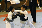 第12回日本拳法埼玉選手権大会・日本拳法埼玉県少年選手権大会
幼年の部