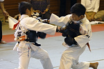 第12回日本拳法埼玉選手権大会・日本拳法埼玉県少年選手権大会
小学3年男子の部