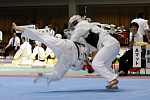 日本拳法第24回全国大学選抜選手権大会
