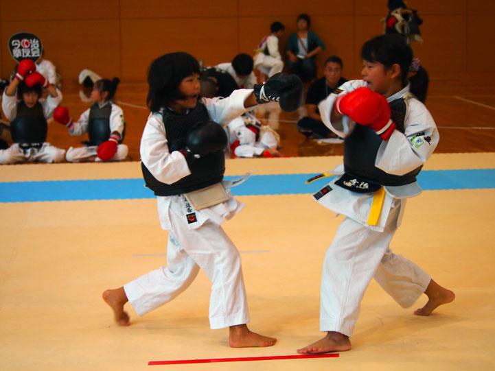 「2017年えひめ国体開催内定記念事業」日本拳法創始80年　第8回日本拳法愛媛県選手権大会（団体戦・個人戦）―四国交流推進大会― 
419381_420172348047147_2140925740_n.jpg