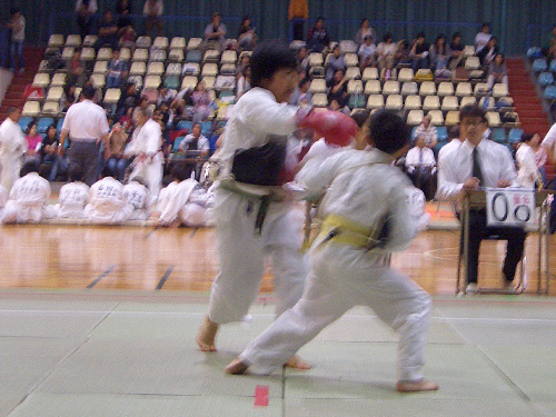 第28回日本拳法群馬県少年選手権大会 写真提供：日本拳法群馬県連盟
CIMG1001.JPG