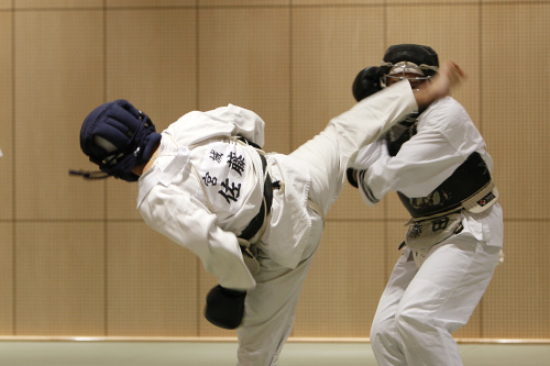創始八十年記念　第11回日本拳法都道府県対抗大会 （撮影：柴田）
_MG_5702.JPG
