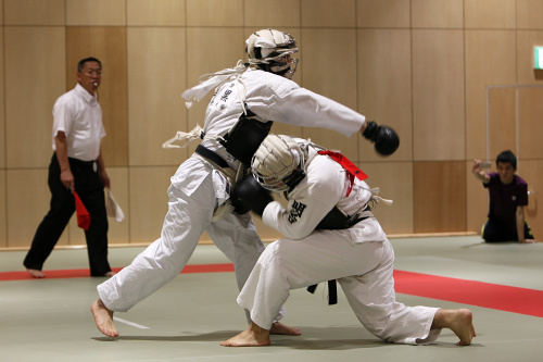 創始八十年記念　第11回日本拳法都道府県対抗大会 （撮影：柴田）
_MG_5813.JPG