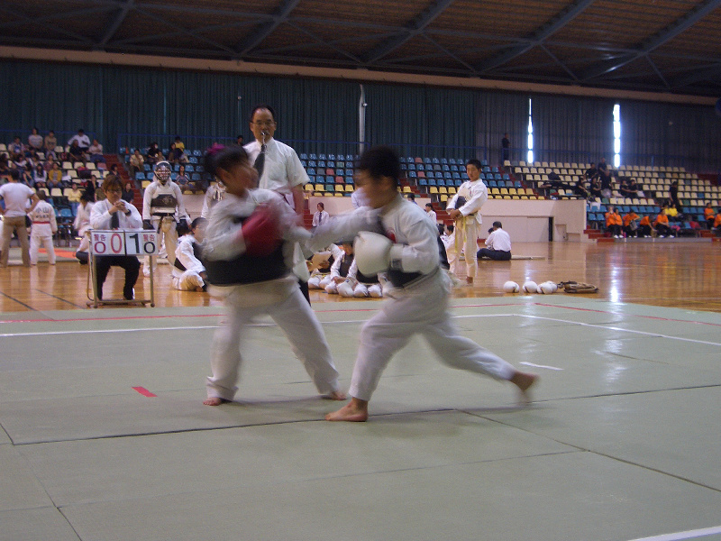第29回日本拳法群馬県少年選手権大会 防具試合　小学3・4年生の部<br>写真提供：日本拳法群馬県連盟
bogu_element34_02.jpg