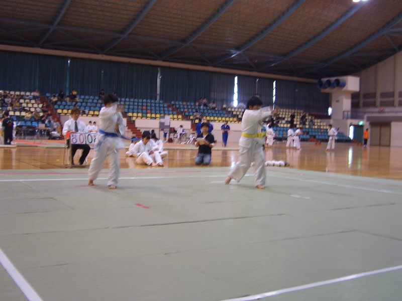 第29回日本拳法群馬県少年選手権大会 形試合　小学5・6年生の部<br>写真提供：日本拳法群馬県連盟
kata_element56_01.jpg