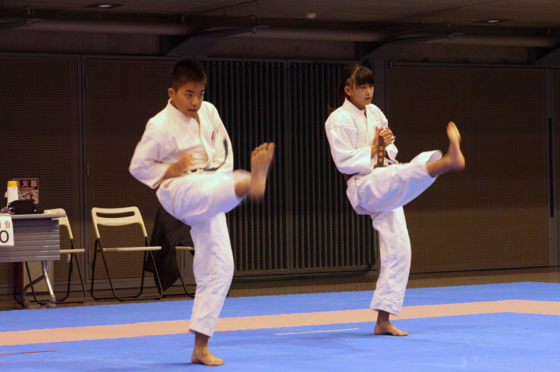第5回日本拳法関東少年選手権大会 形試合<br>撮影：日本拳法関東少年連盟
kata05.jpg