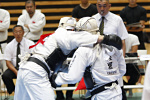 日本拳法全国選抜社会人選手権
社会人選手権、本戦トーナメント、決勝戦。代表者戦。白：第32普通科連隊／陸自大宮A・堀の胴突き（一本）<br>この勝利で、陸自大宮の優勝が決定。堀は優秀選手賞を受賞した。<br>撮影：Inno