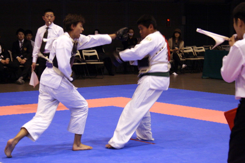 第6回日本拳法関東少年選手権大会 撮影：関東少年連盟
201412130318IMG_1242.JPG