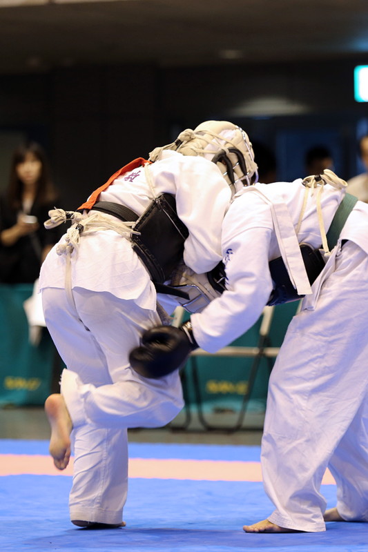 ～秋の祭典～ 2014日本拳法東日本総合選手権大会 
344A2111.JPG