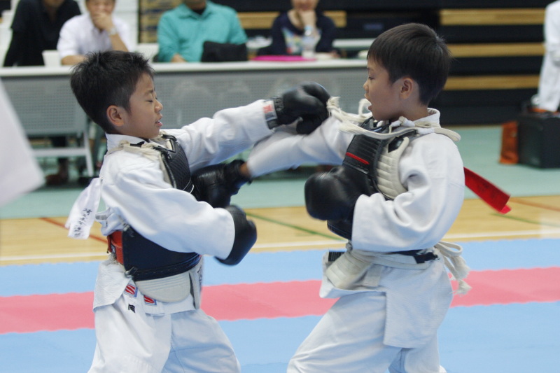 日本拳法全国選抜社会人選手権 東日本少年選手権 小学2年男子の部。赤：鴻志拳友会・金子vs白：拳精館・岡。金子の胴突き（一本）。
_MG_1093.JPG