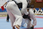 日本拳法全国選抜社会人選手権
社会人選手権 本戦トーナメント。赤：陸自東千歳・向井田vs白：陸自板妻A・長田。長田の押さえヒザ面蹴り（一本）。