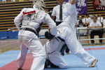 日本拳法全国選抜社会人選手権
社会人選手権 本戦トーナメント。赤：陸自東千歳・境出vs白：陸自板妻A・山田。境出の押さえ面（一本）。