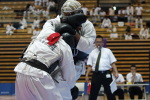 日本拳法全国選抜社会人選手権
社会人選手権 本戦トーナメント。赤：陸自板妻A・大渕vs白・陸自練馬・佐土原。佐土原のヒザ蹴り（一本）。