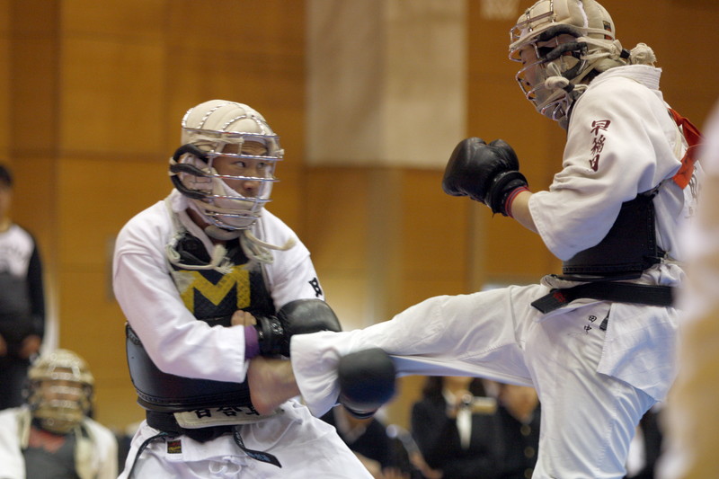 平成27年度日本拳法連盟鏡開き式 段の部、早稲田大学・田中vs明治大学・百合草。田中の胴蹴り（一本）。
_MG_2948.JPG